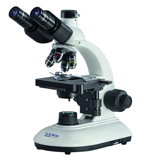 EYP3-1-01-1000Wx1000H-removebg-preview